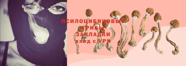 прущая мука Шарыпово