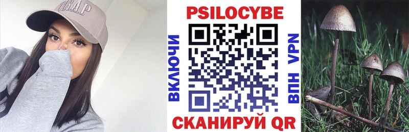 Псилоцибиновые грибы ЛСД Саранск